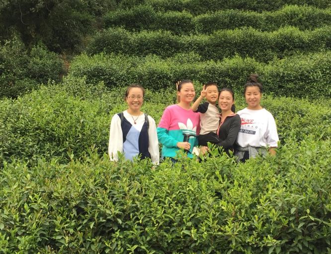 自動化檢測設備廠家軍嶂古道 自動化檢測設備廠家軍嶂古道